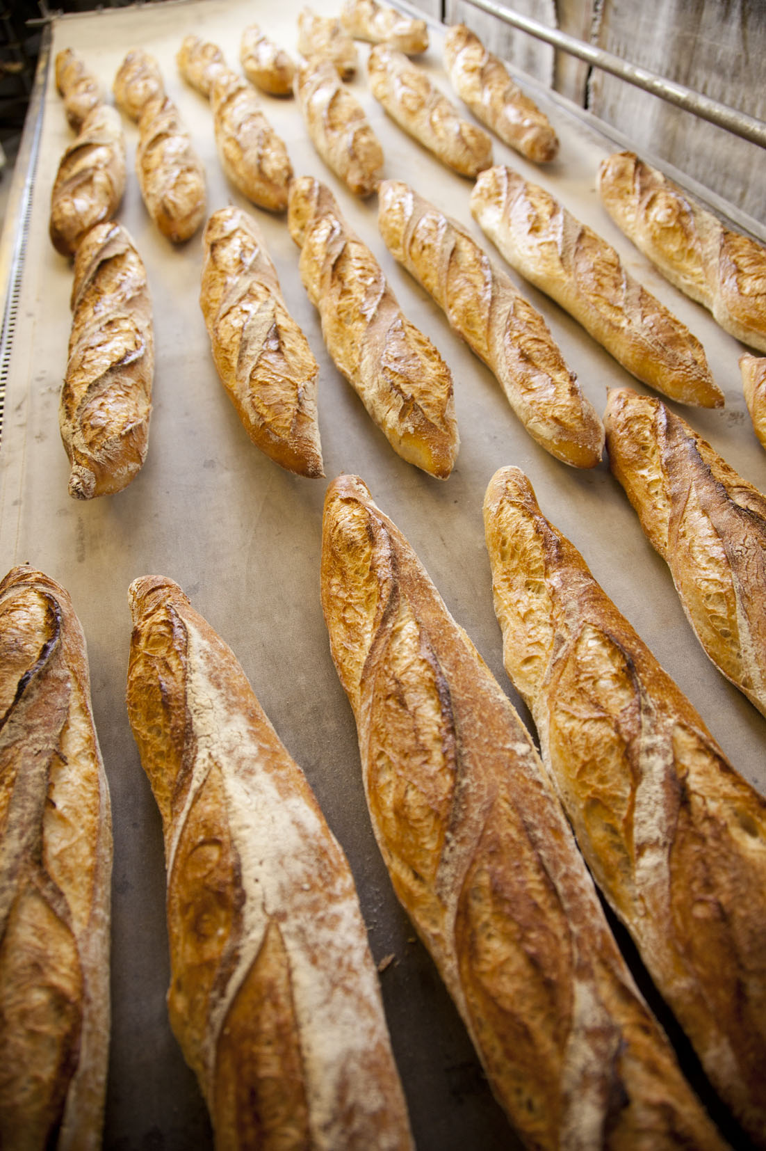 2ème Concours national de la meilleure baguette de tradition française